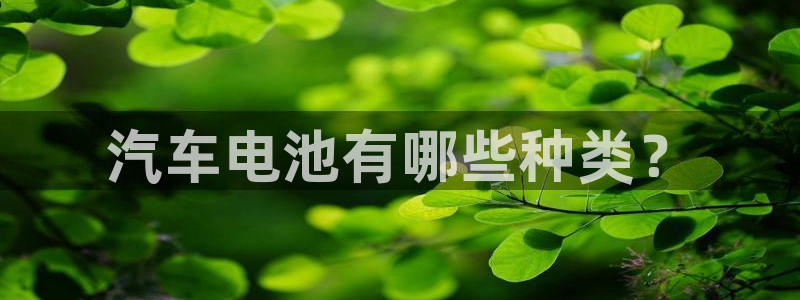 优发国际随优而动一触即发