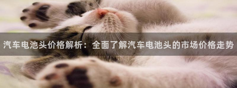 优发国际游戏n