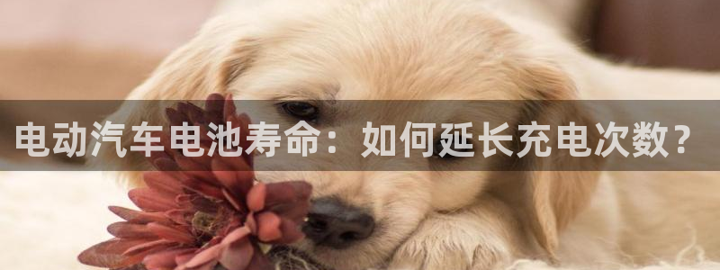 优发国际官网下载安装