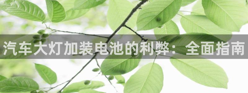 优发国际平台u8是什么公司