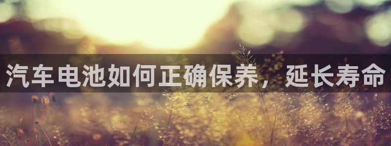 优发国际官网