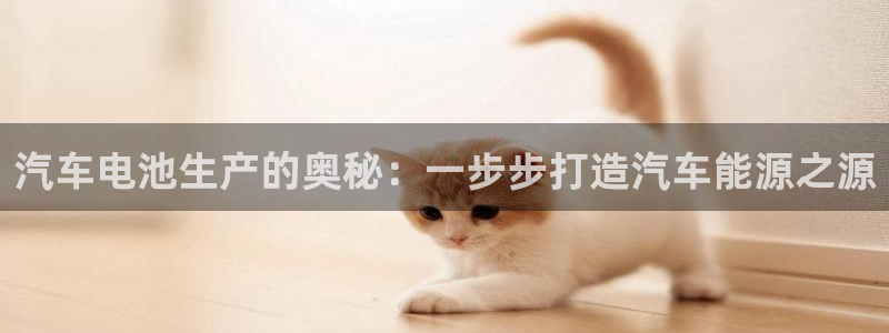 优发国际合并到哪里了：汽车电池生产的奥秘