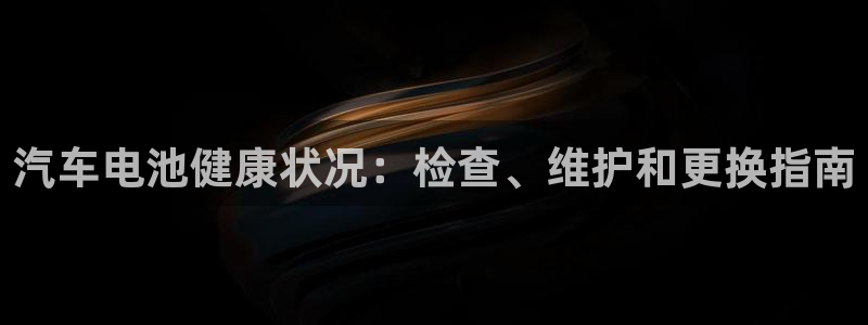 优发国际官网平台：汽车电池健康状况：检查
