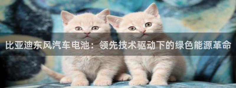优发国际手机客户端怎么下载：比亚迪东风汽