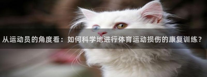 谈球吧：从运动员的角度看：如何科学地进行体育运动损伤的康复训练？