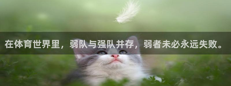 谈球吧体育：在体育世界里，弱队与强队并存，弱者未必永远失败。