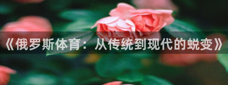 谈球吧体育官网：《俄罗斯体育：从传统到现代的蜕变》