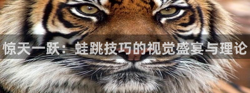 谈球吧体育官网：惊天一跃：蛙跳技巧的视觉盛宴与理论