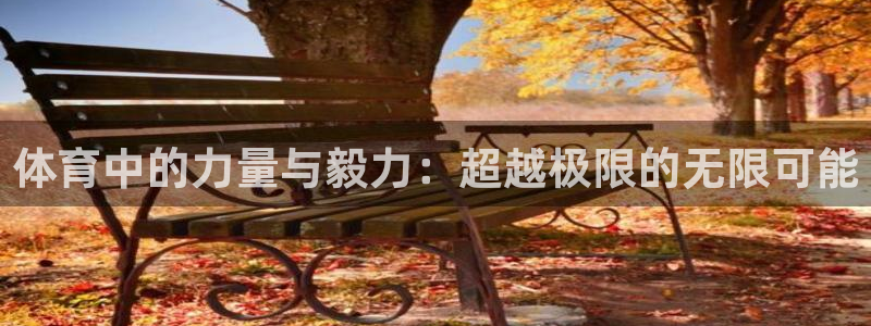 谈球吧体育官网：体育中的力量与毅力：超越极限的无限可能