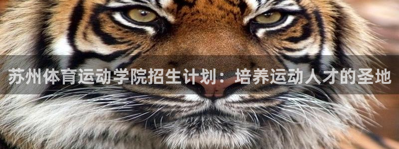 谈球吧体育官网：苏州体育运动学院招生计划：培养运动人才的圣地