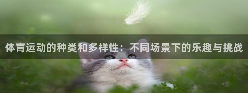 谈球吧体育