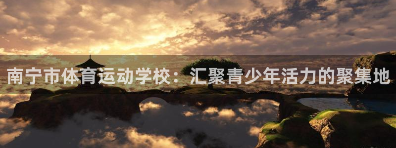 谈球吧体育：南宁市体育运动学校：汇聚青少年活力的聚集地