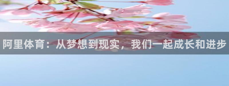 谈球吧：阿里体育：从梦想到现实，我们一起成长和进步
