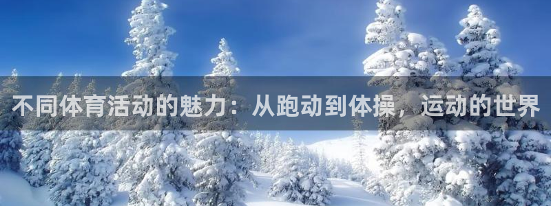谈球吧体育官网：不同体育活动的魅力：从跑动到体操，运动的世界