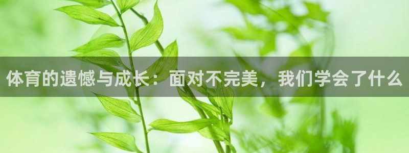 谈球吧体育