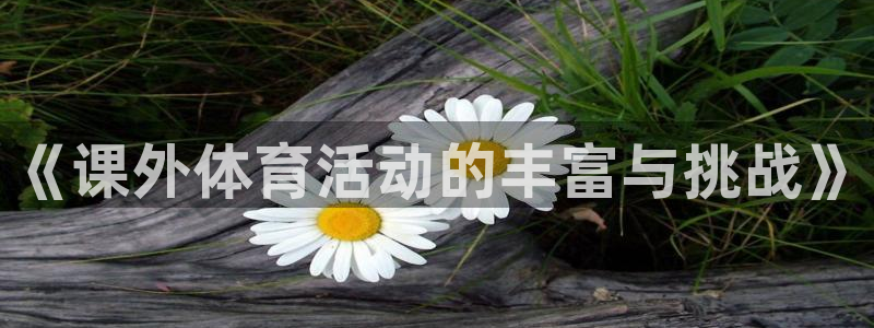 谈球吧：《课外体育活动的丰富与挑战》