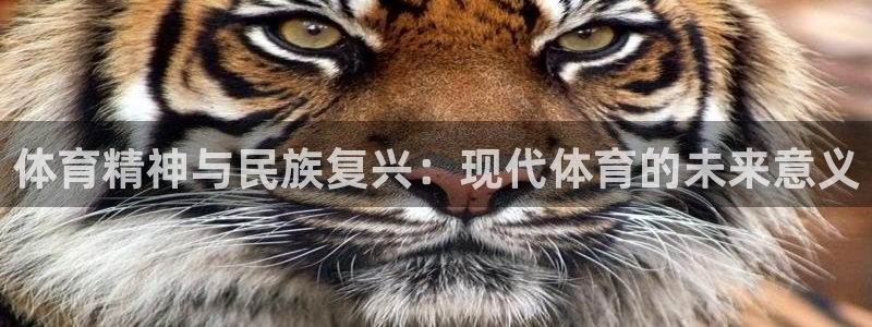 谈球吧体育官网：体育精神与民族复兴：现代体育的未来意义