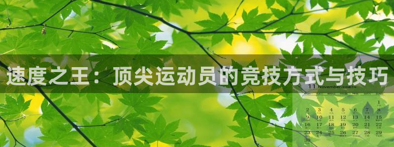 谈球吧：速度之王：顶尖运动员的竞技方式与技巧