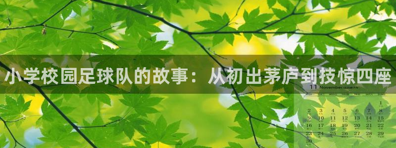谈球吧：小学校园足球队的故事：从初出茅庐到技惊四座