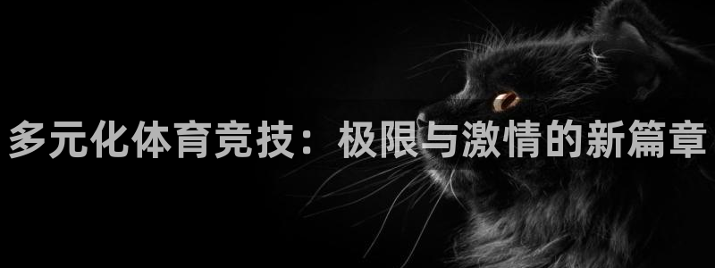 谈球吧体育：多元化体育竞技：极限与激情的新篇章