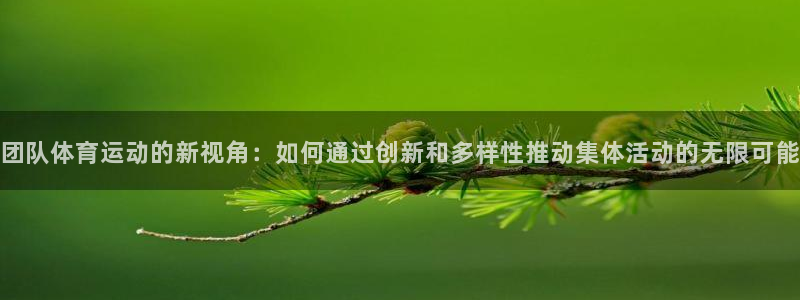 谈球吧体育官网：团队体育运动的新视角：如何通过创新和多样性推动集体活动的无限可能