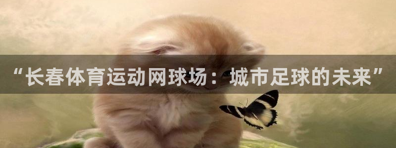 谈球吧体育官网：“长春体育运动网球场：城市足球的未来”