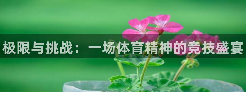 谈球吧体育官网：极限与挑战：一场体育精神的竞技盛宴