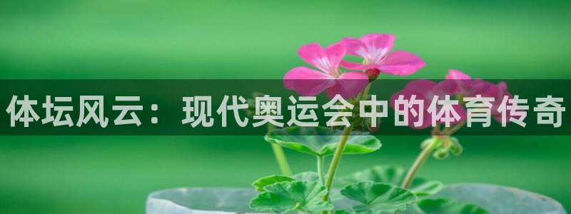 谈球吧体育官网：体坛风云：现代奥运会中的体育传奇