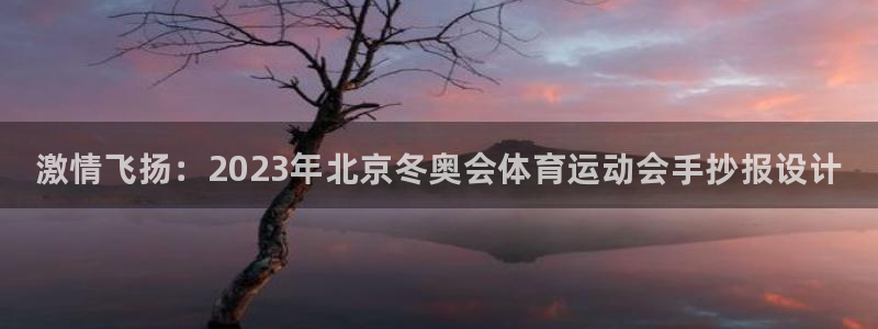 谈球吧：激情飞扬：2023年北京冬奥会体育运动会手抄报设计