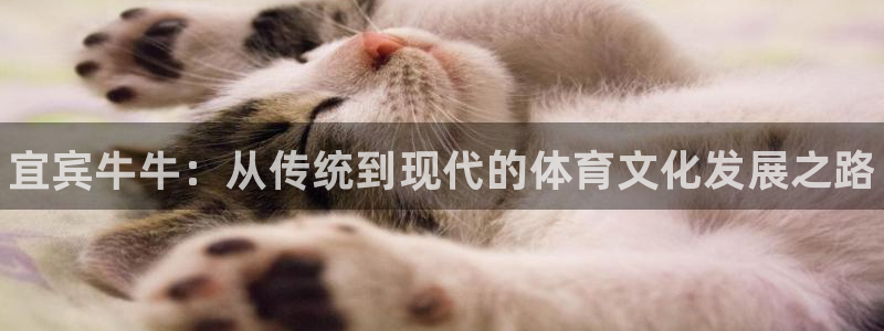 谈球吧体育：宜宾牛牛：从传统到现代的体育文化发展之路