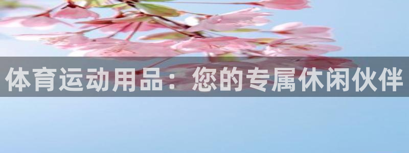 谈球吧体育：体育运动用品：您的专属休闲伙伴