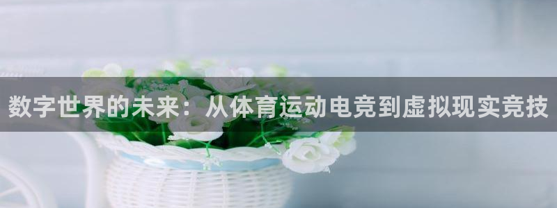 谈球吧：数字世界的未来：从体育运动电竞到虚拟现实竞技
