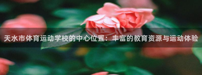 谈球吧体育