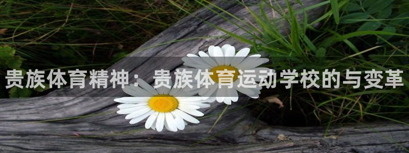 谈球吧：贵族体育精神：贵族体育运动学校的与变革