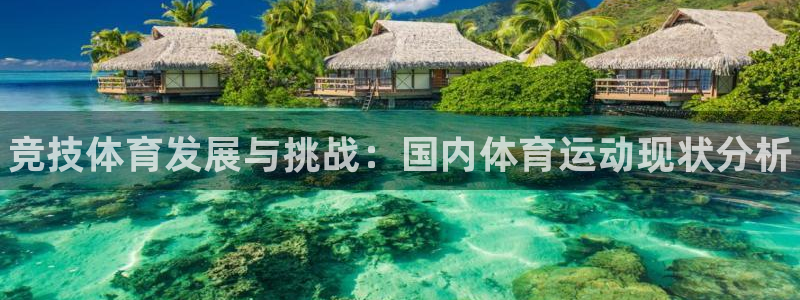 谈球吧体育：竞技体育发展与挑战：国内体育运动现状分析