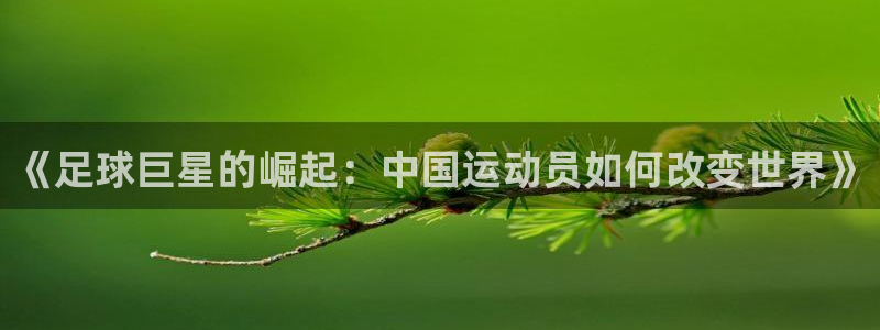 谈球吧体育：《足球巨星的崛起：中国运动员如何改变世界》