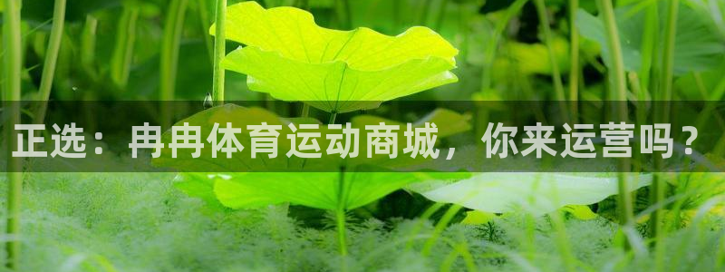 谈球吧：正选：冉冉体育运动商城，你来运营吗？