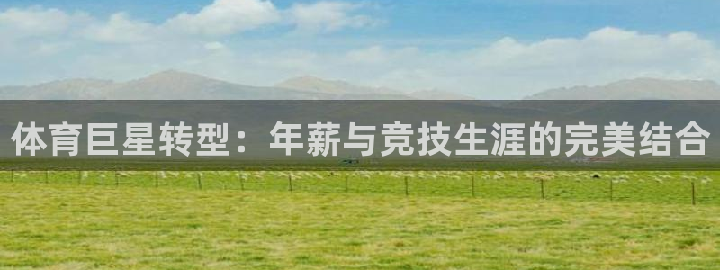 谈球吧体育官网：体育巨星转型：年薪与竞技生涯的完美结合