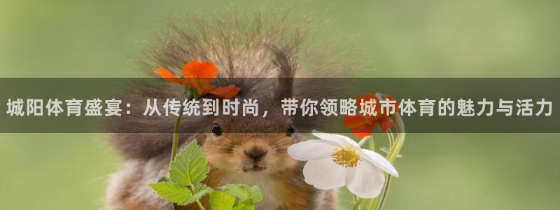 谈球吧体育：城阳体育盛宴：从传统到时尚，带你领略城市体育的魅力与活力