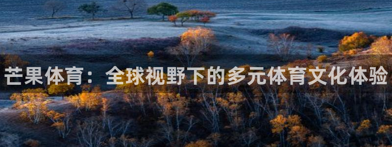 谈球吧体育：芒果体育：全球视野下的多元体育文化体验