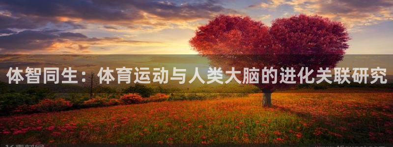 谈球吧体育官网：体智同生：体育运动与人类大脑的进化关联研究