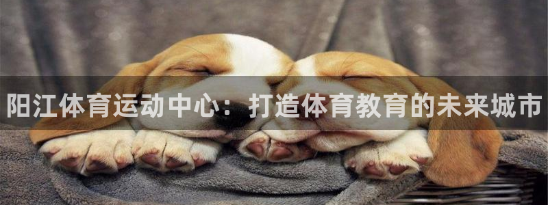 谈球吧：阳江体育运动中心：打造体育教育的未来城市