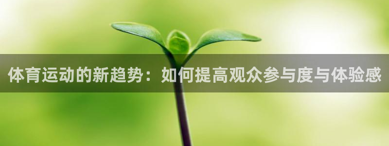 谈球吧体育：体育运动的新趋势：如何提高观众参与度与体验感