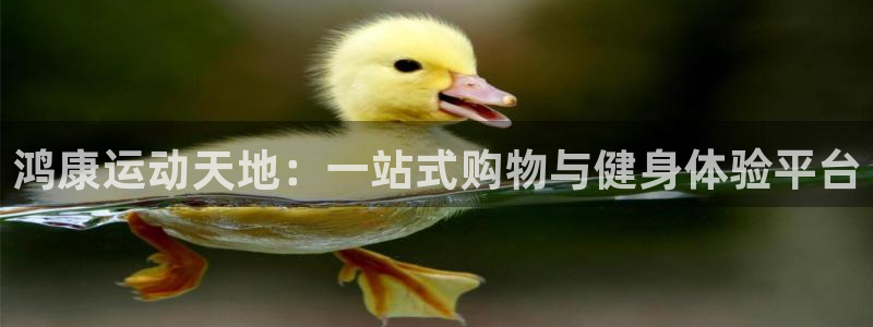谈球吧体育官网：鸿康运动天地：一站式购物与健身体验平台