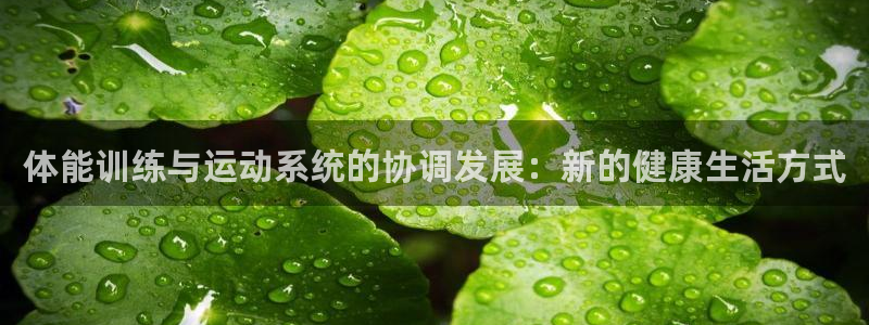 谈球吧体育：体能训练与运动系统的协调发展：新的健康生活方式