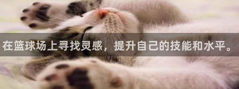 谈球吧体育：在篮球场上寻找灵感，提升自己的技能和水平。