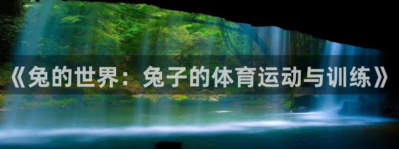 谈球吧体育