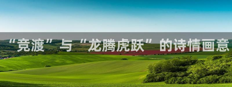 谈球吧：“竞渡”与“龙腾虎跃”的诗情画意