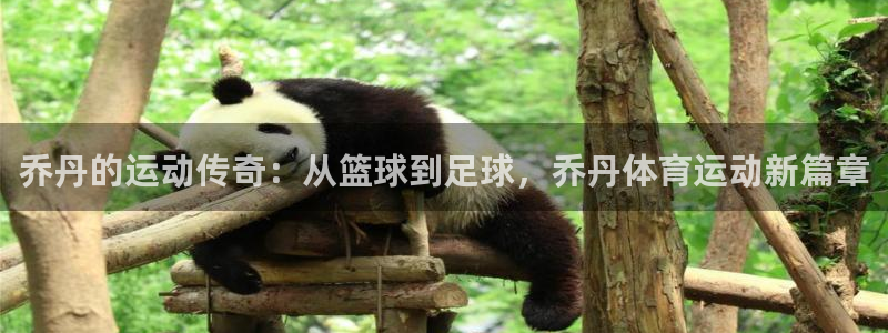 谈球吧体育官网：乔丹的运动传奇：从篮球到足球，乔丹体育运动新篇章
