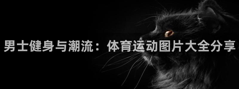 谈球吧体育官网：男士健身与潮流：体育运动图片大全分享